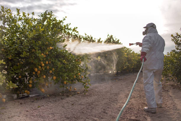Pest Control Cost in Grand Forks, ND
